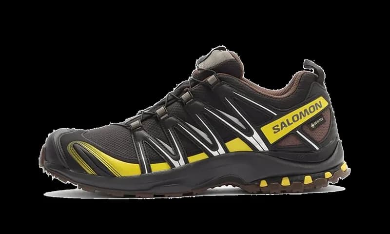 Salomon — XA Pro 3D Gore-Tex "Cress Green French Roast" L47867800 — Sneaker — resale