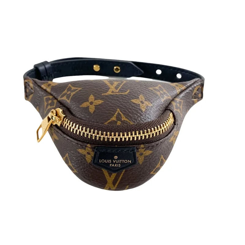 Louis Vuitton — Louis Vuitton Party Bumbag — Jewelry — resale