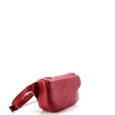 Christian Dior World Tour Saddle Belt Galaxy 2