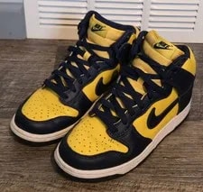 Nike Dunk High 3