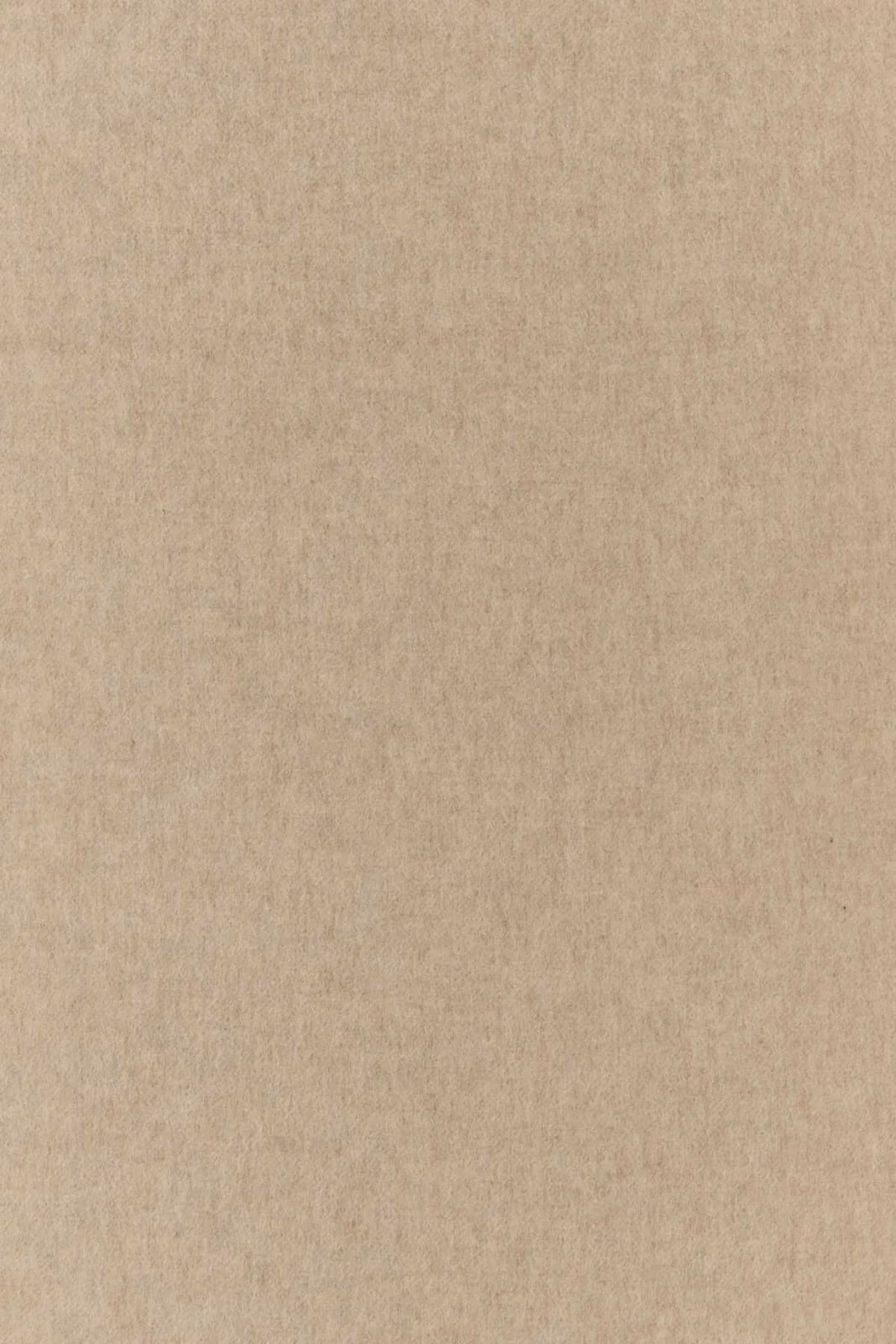 Max Mara Scarf — Exterior: Scarfs 3