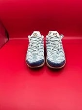 Nike Air Max Plus Ice -300 2