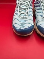 Nike Air Max Plus Ice -300 3