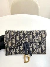 Christian Dior Saddle WOC Wallet on Chain Auth 2