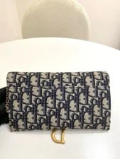 Christian Dior Saddle WOC Wallet on Chain Auth 3