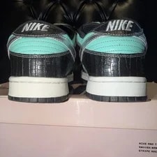Size 10 - Nike SB Dunk Low Pro X Supply Co. Tiffany 4