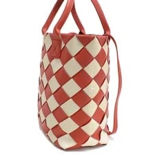 Bottega Veneta 2Way Hippo 570800 2