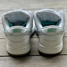 Nike SB Dunk Low 4
