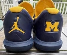 Air Jordan 3 - Wolverines 2