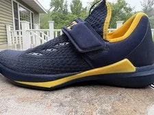 Air Jordan 3 - Wolverines 3