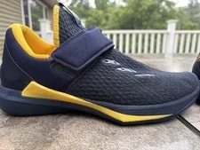 Air Jordan 3 - Wolverines 4