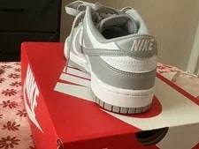 Nike Dunk Low Retro 2