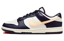Nike — Nike Dunk Low Retro From To You -181 — Sneaker — resale