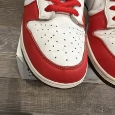 Nike Sb Dunk Low Cinco de Mayo - Size 13 - 304292-113 3