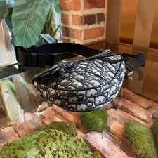 Dior Saddle Crossbody 3