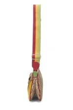Christian Dior Trotter Rasta Double Saddle 3