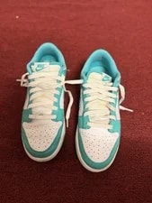 Nike Dunk Low 3