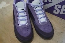Nike SB Ishod Air Max NEW Grand IR1887-500 2