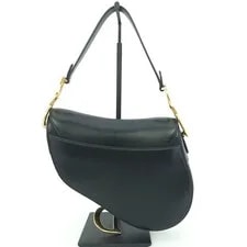Dior Saddle 100389454 2