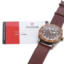 Tudor Heritage Black Bay Bronze 79250BM Brown Dial Automatic Watch_957894 2