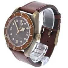 Tudor Heritage Black Bay Bronze 79250BM Brown Dial Automatic Watch_957894 3