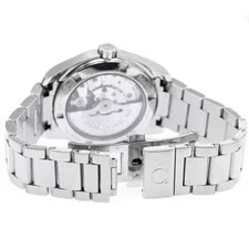 Omega Seamaster Aqua Terra 231.10.39.21.06.001 39mm SS Gray #C5450 3