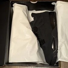 Size 15 - Air Jordan 4 Retro 2025 Cat 3