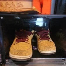 Nike Sb Cellestal Dunk Low Pro 2