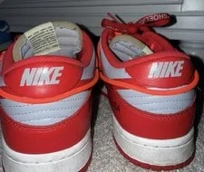 Nike Dunk Low 4