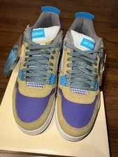 AIR Jordan 4 30TH Anniversary Desert DJ5718-300 Undftd 2