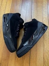 Size 10.5 - Air Jordan 3 Retro 2025 Cat 4
