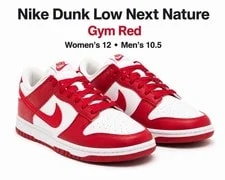 Nike Dunk Low Next Nature Gym 2