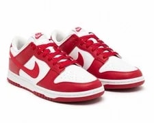 Nike Dunk Low Next Nature Gym 4