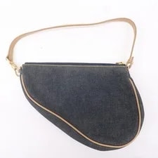 Christian Dior Saddle Auth 2