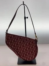 Christian Dior Trotter Pattern Saddle BRD All Over 3