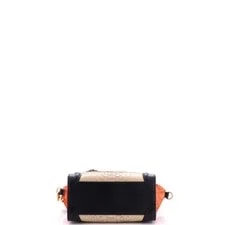 Celine Luggage Bag 4