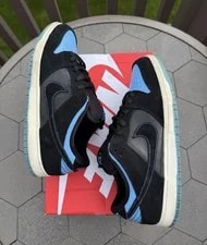 Size 11 - Nike SB Dunk Low Sub Zero. 304292-048. 3