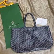 w/ Goyard Saint Louis 2