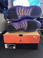 Air Jordan Retro 12 Size 11 /Field 3