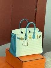 Auth Hermès Birkin 30 Collector 3