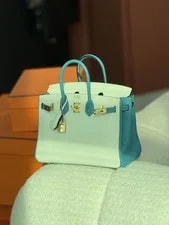 Auth Hermès Birkin 30 Collector 4
