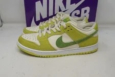 Size 9.5 Nike SB Dunk Low Apple DM0807-300 2