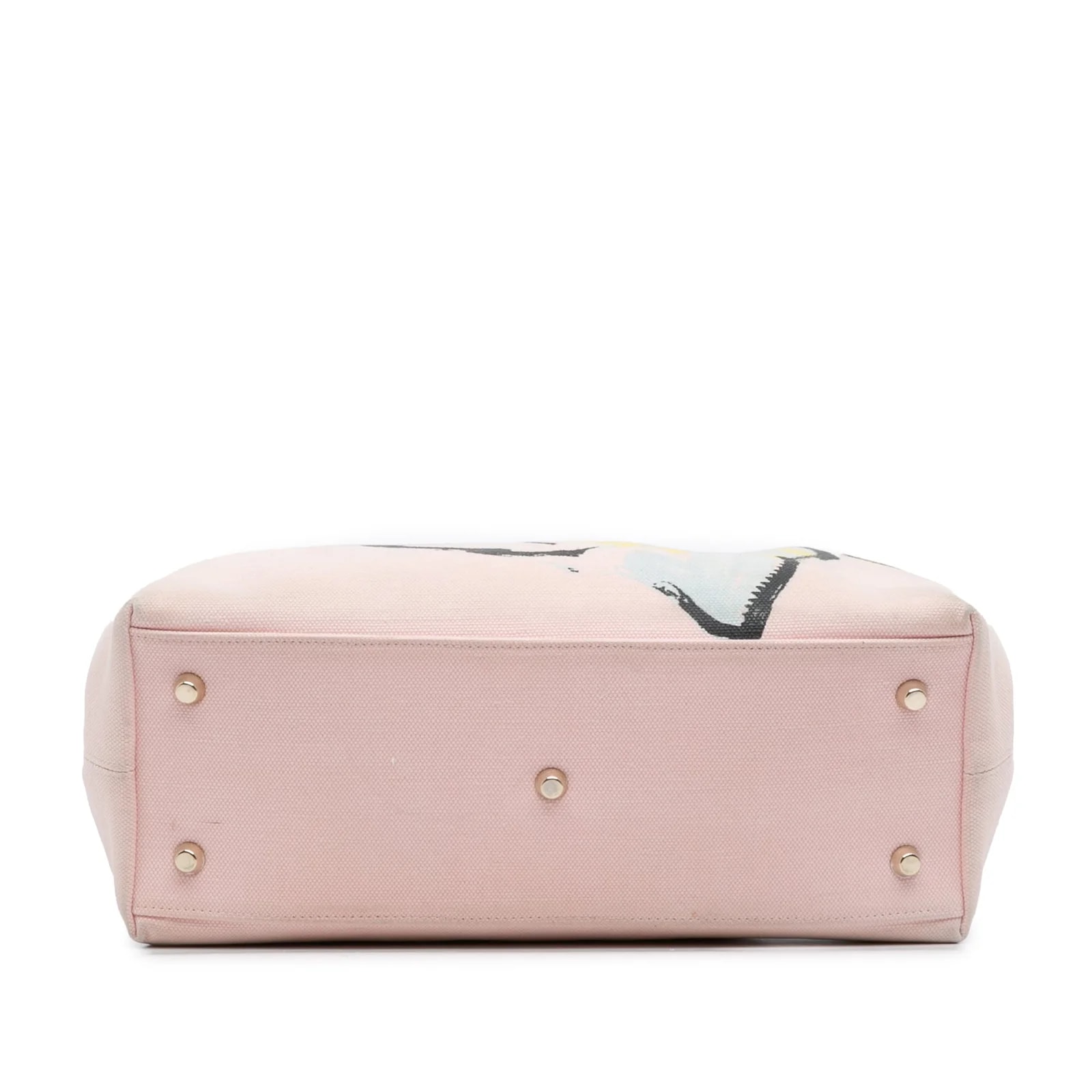 Limited Edition Medium Floral Printed Diorissimo Satchel 3