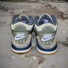 Jordan 3 Retro Family Affair 3