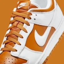 Nike Dunk Low QS Co.jp Reverse Curry Dark Curry Nby -700 3