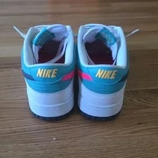 Nike Dunk Low Dusty Cact 4