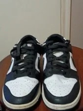 Size 9 (US) Nike Dunk Low Retro " " / - (DD1391 100) 4