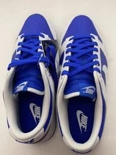 10.5US Nike Dunk Low Retro 3