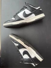 Nike Dunk Low Retro Lifestyle Shoes 4