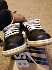 Nike Dunk SB Qs Low Rain 3